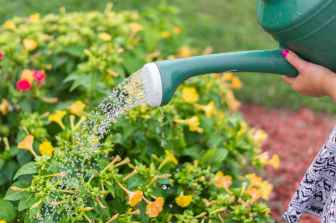 person using watering can