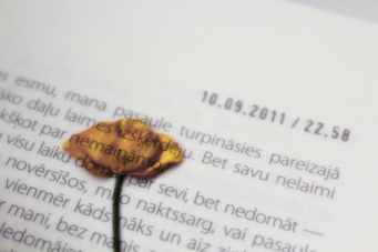 white paper with dried flower