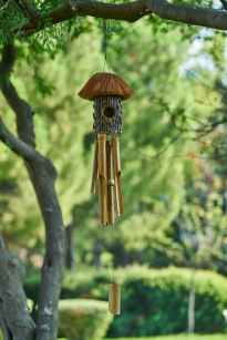 wind chime hanging under tree