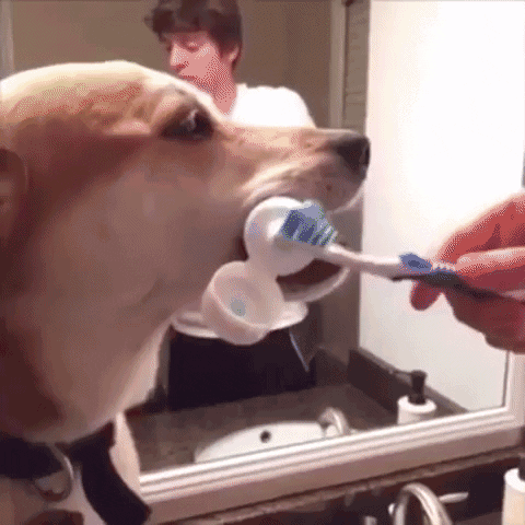 brush teeth
